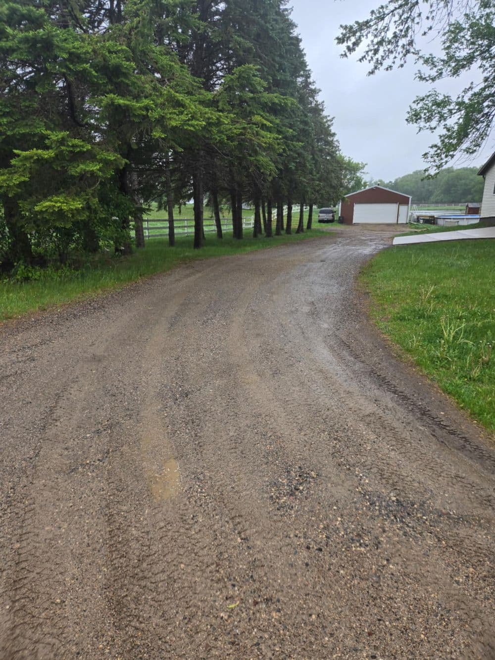 Gravel driveway winding through trees with a barn in the background on a rainy day.