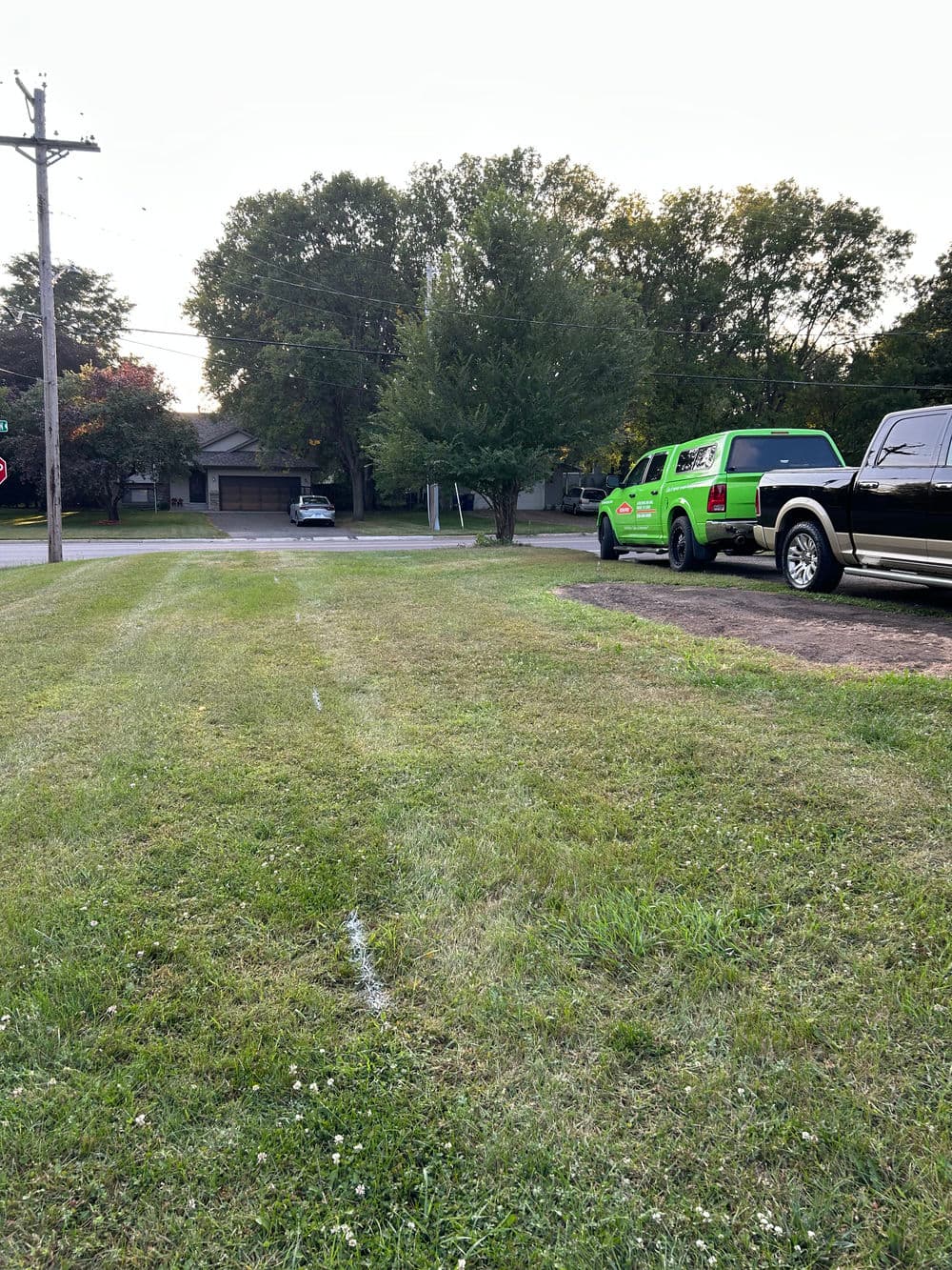 Green vehicle parked on a grassy area beside a black truck and residential neighborhood.