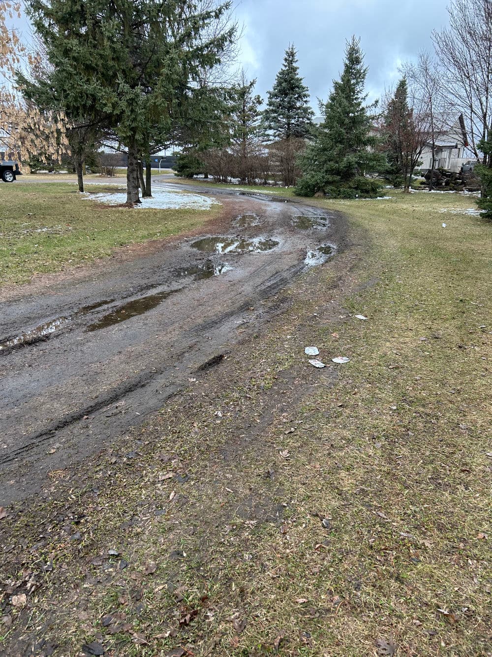 Grassy path with muddy puddles surrounded by trees and snow remnants.