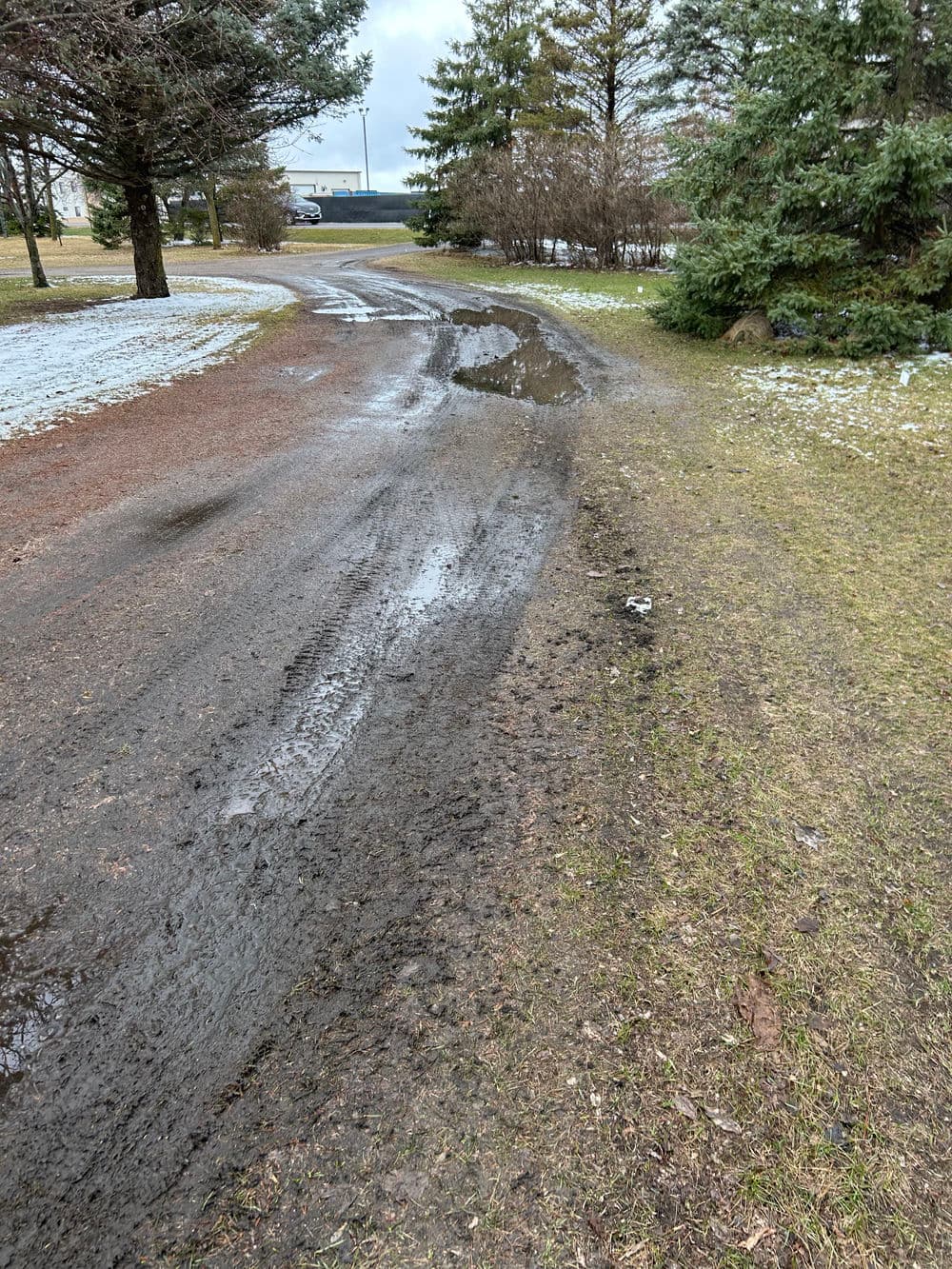 Wet muddy pathway with tire tracks, surrounded by grass and trees on a cloudy day.